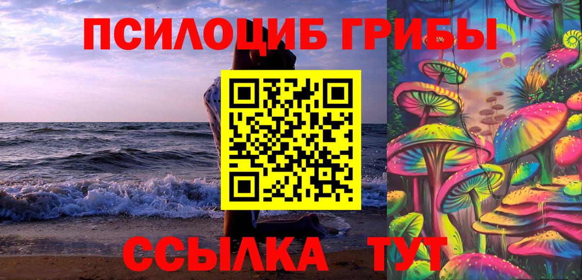 Галлюциногенные грибы GOLDEN TEACHER  как найти   Абинск  Вход с VPN 
